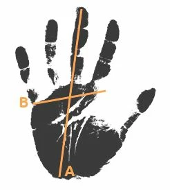 Tucano Urbano Freccia Short Gant – Image 3